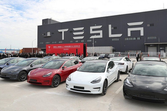 Cạnh tranh xe giá mềm với VinFast, Tesla chuẩn bị xuất khẩu ngược xe điện từ Trung Quốc sang Bắc Mỹ