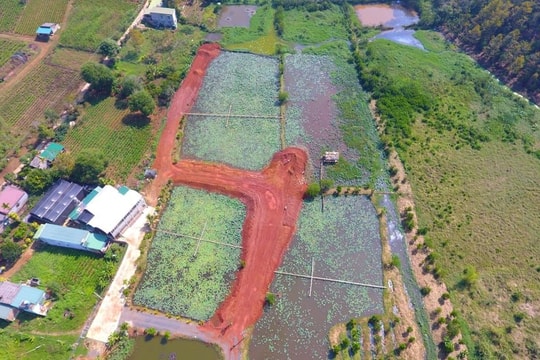 Đề xuất thu hồi 3 dự án có nhiều vi phạm tại Lâm Đồng 