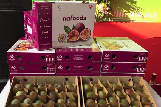 Nafoods Group (NAF) báo lãi quý 1 tăng trưởng 61%, lên kế hoạch chào bán cổ phiếu riêng lẻ