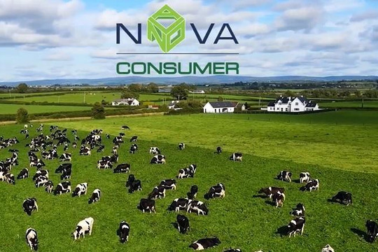 Nova Consumer (NCG) lần đầu báo lỗ kể từ sau IPO 