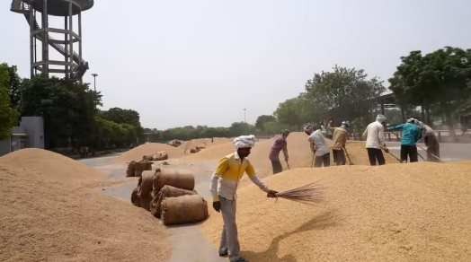 Xuất hiện thêm một quốc gia tăng cường nhập khẩu gạo của Việt Nam, sản lượng xuất khẩu bất ngờ tăng vọt hơn 3.000% trong quý 1