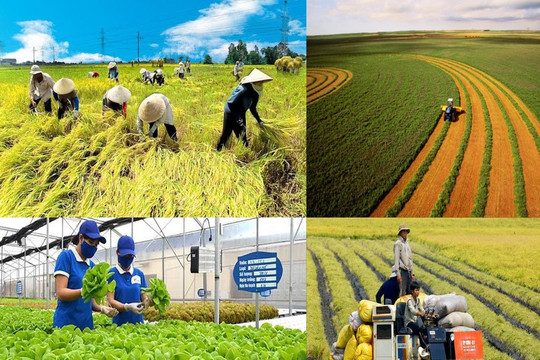 Kế hoạch hành động của ngành Ngân hàng thực hiện Nghị quyết của Chính phủ về nông nghiệp, nông dân, nông thôn đến năm 2030, tầm nhìn đến năm 2045