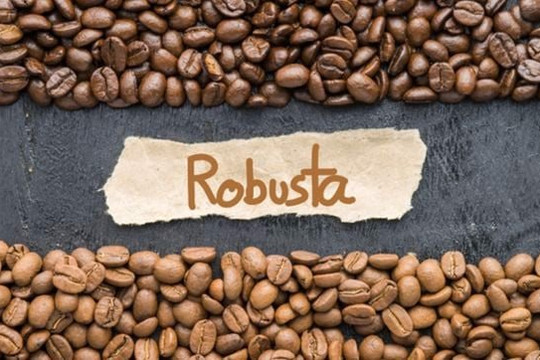 Thế giới thiếu hụt cà phê robusta trầm trọng dù xuất khẩu tăng - chuyện gì đang xảy ra?