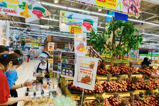 Tin vui cho nông dân xứ vải: Đại gia Thái sở hữu siêu thị GO!, Big C, Tops Market,... về Bắc Giang ký kết tiêu thụ vải thiều Lục Ngạn, dự kiến "ôm lô" 300 tấn 