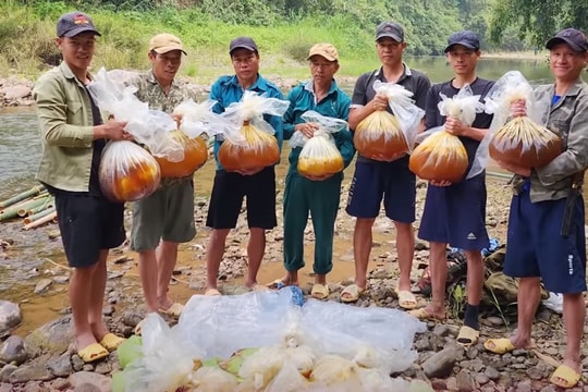 Cũng bán mật ong, nhóm người này chọn cách băng rừng, vượt thác lên thượng nguồn sông Đà để lấy được vài lít mật ong quý giá