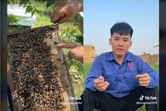 Con trai bà Tân Vlog lên tiếng đính chính: Khẳng định mật ong mình bán 100% nguyên chất, xóa video chỉ để 'Tóp tóp' không bóp tương tác