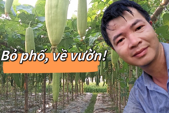 Giám đốc ngân hàng về quê trồng mướp bán xơ: Học "vua cà phê Việt" cách nghĩ lớn làm nhỏ, khát vọng đưa sản phẩm đi Nhật, đi Mỹ