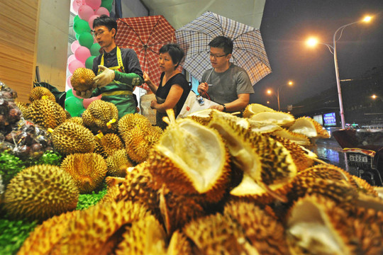 Liệu sầu riêng và hoa quả nhiệt đới Trung Quốc tự trồng có ''tràn ngược'' sang Đông Nam Á? Việt Nam cần lưu ý gì?