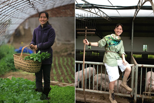 Tốt nghiệp tiến sĩ, cô gái bỏ phố về quê trồng rau: 11 năm làm nông, kiếm hơn 23,5 tỷ đồng/năm, ngoại hình thay đổi đến mức bố mẹ không thể nhận ra 