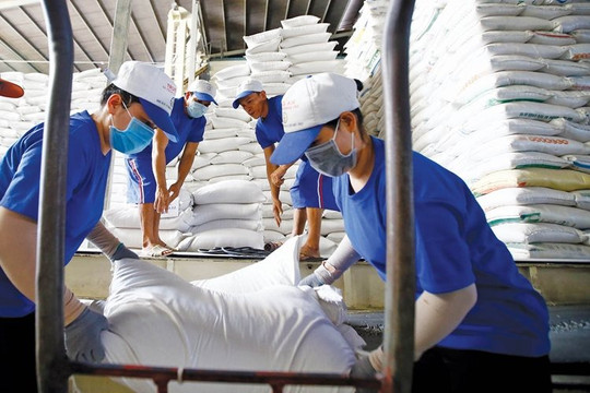 Một mặt hàng của Việt Nam đạt mức xuất khẩu kỷ lục tại Philippines, cao nhất từ trước đến nay