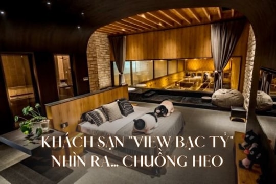 Lạ lùng khách sạn "view chuồng lợn" giá gần 30 triệu đồng/đêm: Ngắm heo giá hơn 100 triệu đồng/con, khách chen chân đặt chỗ