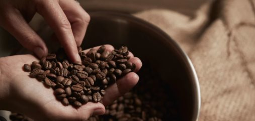 Một quốc gia châu Mỹ có sản lượng cà phê bằng 0, tăng nhập khẩu cà phê Việt Nam gần 500% trong 5 tháng đầu năm