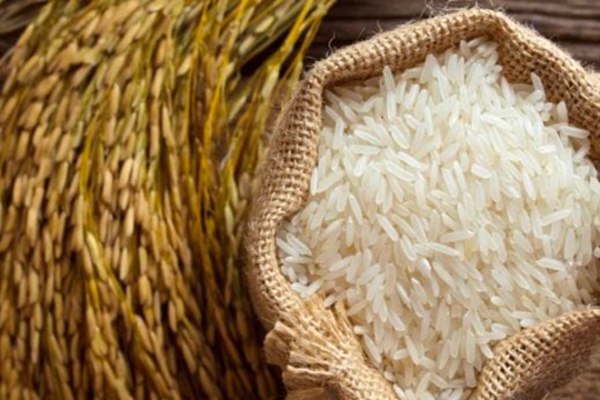 Giá gạo Việt tăng cao, cơ hội xuất khẩu đã đến 