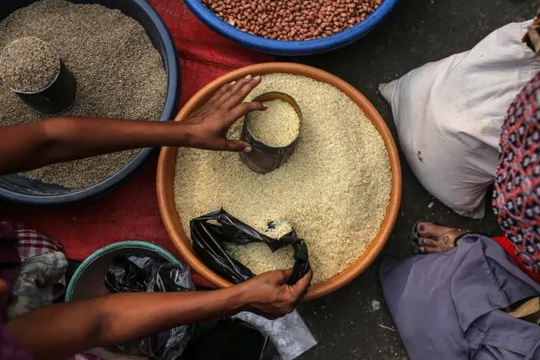 Ấn Độ vừa chính thức cấm xuất khẩu gạo: Giảm nguồn cung, hoang mang bao trùm và làn sóng đầu cơ có thể khiến giá tăng kỷ lục