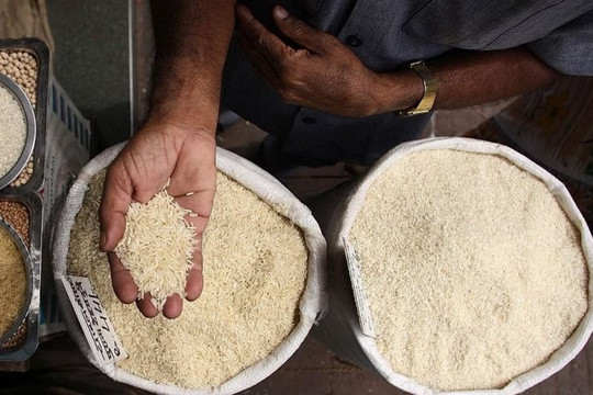 Thị trường gạo tiếp tục 'nóng rẫy': Nga và UAE đồng loạt tuyên bố cấm xuất khẩu gạo tạm thời - gạo Việt Nam thêm cơ hội tăng giá?