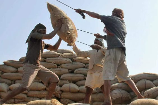 Thị trường gạo đón nhận thêm cú sốc: Một quốc gia châu Á gặp khủng hoảng về nguồn cung, nắm giữ sản lượng gần 22 triệu tấn trong năm qua