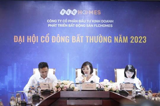 ĐHCĐ bất thường FLCHomes bầu ban lãnh đạo mới: Bà Trần Thị Hương giữ chức Chủ tịch HĐQT 