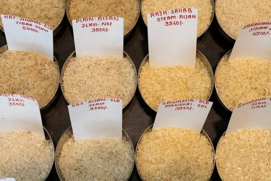 CNBC: Giá gạo sẽ tăng mạnh nếu kịch bản này xảy ra