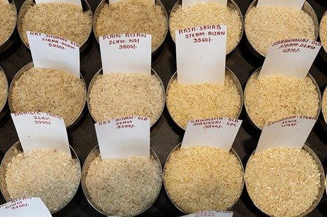 Mưa lũ ở Trung Quốc ảnh hưởng ra sao đến giá gạo, ngô và lúa mì toàn cầu?