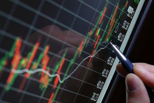 Phó Chủ tịch một công ty chứng khoán muốn mua gần 4% công ty, dự chi 140 tỷ đồng