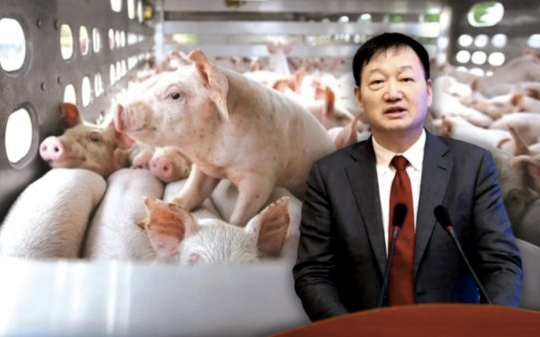 "Vua lợn" Trung Quốc: Từ trang trại 22 con tới tập đoàn cung cấp thịt cho 10% thế giới, mỗi năm bán hơn 60 triệu con lợn, vụt trở thành tỷ phú