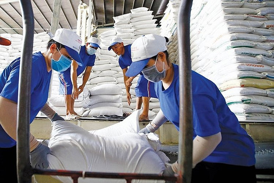 Sau loạt 'tin dữ' từ Ấn Độ, Myanmar - gạo xuất khẩu Việt Nam lập đỉnh 15 năm, giá cao nhất thế giới