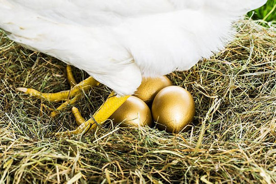 ‘Gà đẻ trứng vàng’ giúp Việt Nam kiếm gần 40 tỷ USD trong 8 tháng, cả năm ngoái thu hơn 55 tỷ USD