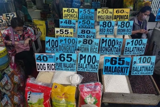 Nước láng giềng ASEAN gặp khó khăn vì lạm phát giá gạo, lập tức "cầu viện" Việt Nam