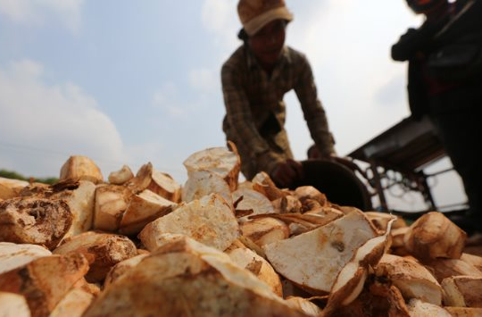 Giá rẻ kỷ lục, một mặt hàng của Việt Nam đang được Trung Quốc "săn lùng" trong 8 tháng đầu năm, Việt Nam xuất khẩu đứng thứ 3 thế giới
