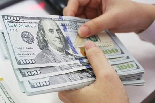 Tỷ giá USD đồng loạt giảm, mất mốc 24.500 đồng tại Vietcombank