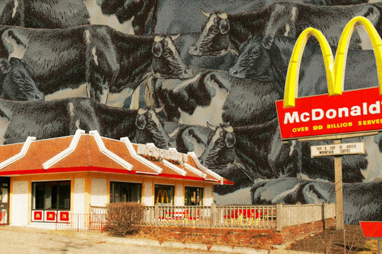 McDonald’s, Starbucks, Pepsi từ bỏ mục tiêu bảo vệ môi trường vì lợi nhuận?