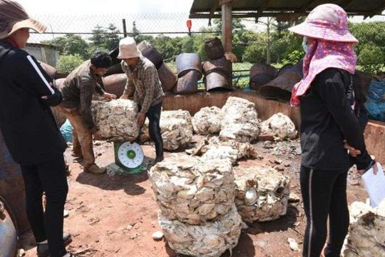 Việt Nam sở hữu “gà đẻ trứng vàng” luôn được Trung Quốc săn lùng: Thu về hơn 1 tỷ USD chỉ trong 8 tháng, Việt Nam xuất khẩu đứng thứ 3 thế giới