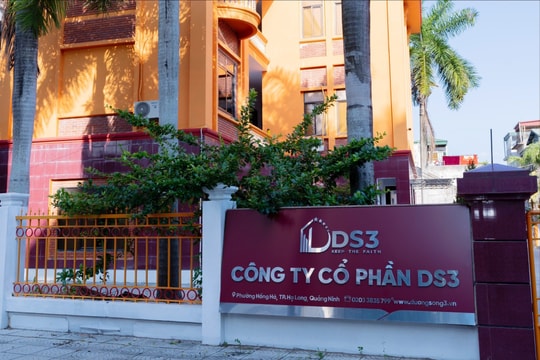 Công ty cổ phần DS3, thay đổi để phát triển