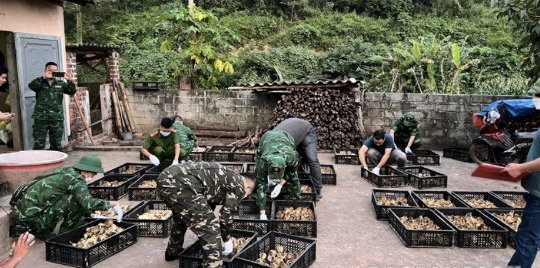 Huyện Lộc Bình, Lạng Sơn: Gần 5.000 con gà giống không rõ nguồn gốc bị bắt giữ