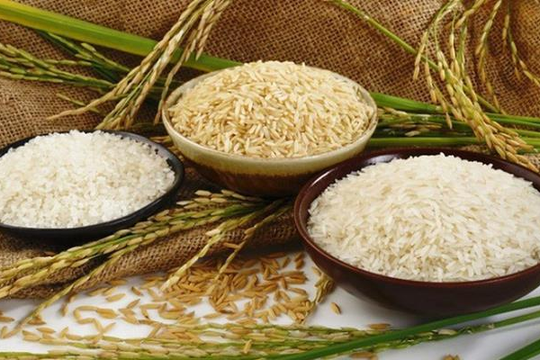 Bị HNX đưa vào diện kiểm soát, 1 cổ phiếu lúa gạo giảm kịch biên độ 10%, thị giá bốc hơi 50% trong 2 tháng dù xuất gạo Việt Nam đạt kỷ lục