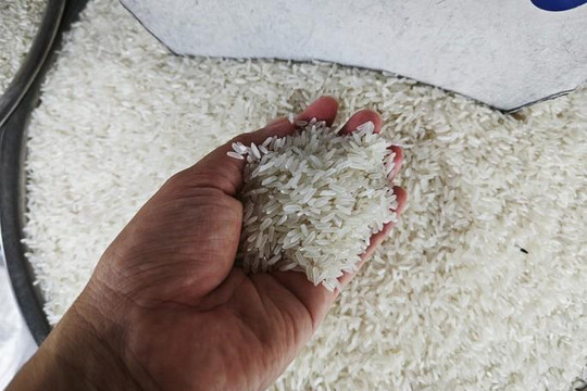 Hết tiền vì giá gạo tăng quá nhanh, một doanh nghiệp lương thực xin ngừng chi trả cổ tức bằng tiền tỷ lệ hơn 140%