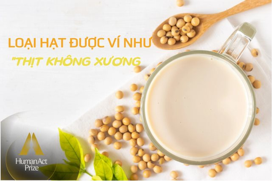 Một loại hạt giàu dinh dưỡng được ví như “thịt không xương”: Ở Việt Nam có một thương hiệu quốc gia, nỗ lực hơn 1 thập kỷ để phát triển bền vững vùng nguyên liệu
