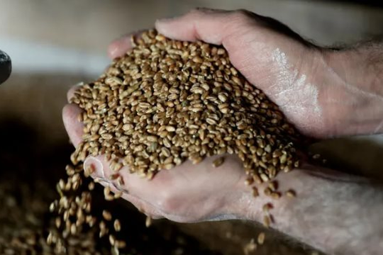 Một loại hạt bất ngờ được Trung Quốc lùng sục khắp thế giới, là mặt hàng có nguy cơ rơi vào khủng hoảng sau gạo