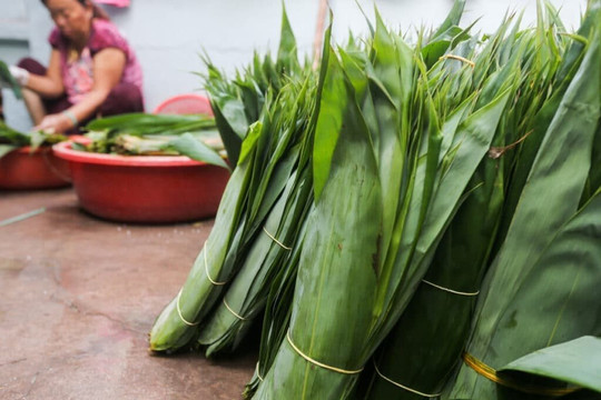 Loại lá tre đặc biệt của Việt Nam đang thành hàng hot ở nước ngoài: xuất khẩu giá đắt đỏ, thu về hàng chục tỷ đồng
