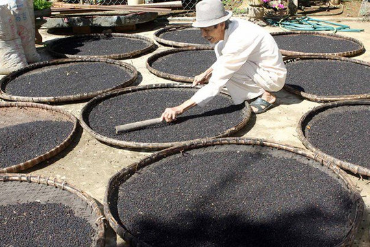 Việt Nam sở hữu một loại 'vàng đen' được Trung Quốc, Mỹ liên tục săn lùng: xuất khẩu tăng nóng, cả thế giới phụ thuộc vào Việt Nam