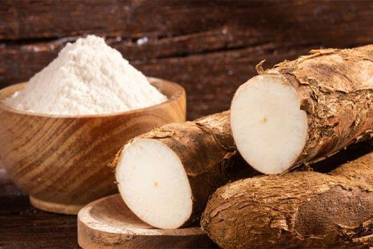 Giá xuất khẩu trên đỉnh lịch sử, doanh nghiệp sản xuất tinh bột sắn lớn nhất Việt Nam vẫn báo lãi sụt giảm 64%