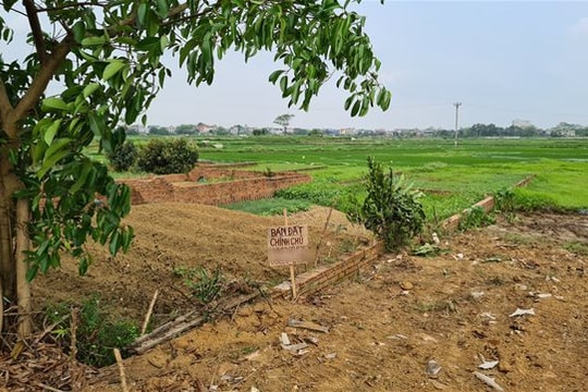 Chuyên gia dự báo: Đất nhà vườn còn “đóng băng” do xu hướng “bỏ phố về quê” dần “lụi tàn”