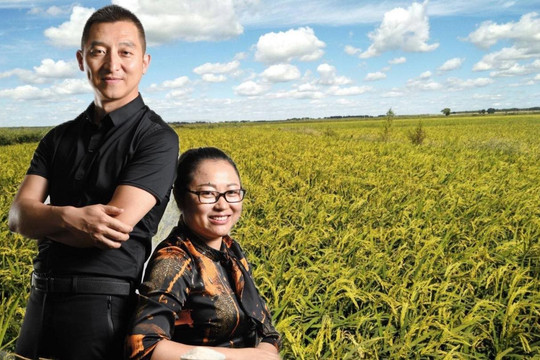 Hai vợ chồng "thức thời" kinh doanh gạo, bán hơn 300.000 đồng/sản phẩm rồi trở thành tỷ phú, thu về 15.000 tỷ đồng mỗi năm