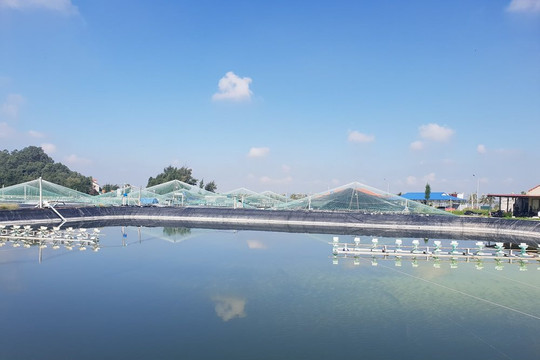 Diễn biến mới nhất tại “siêu dự án” quy mô gần 5000 tỷ đồng tại Thanh Hoá