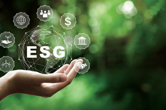 Ngành vật liệu xây dựng cần thực hành ESG để nhanh chóng “chuyển xanh” nền kinh tế 