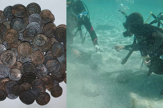Lặn biển tìm thấy 30.000 mảnh kim loại lạ, người đàn ông lập tức báo nhà chức trách: Hoá ra là kho báu cổ gần như nguyên vẹn
