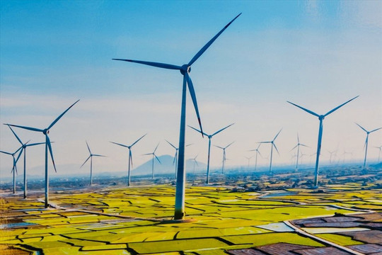 Trung Nam Group hợp tác với doanh nghiệp Trung Quốc làm cụm dự án điện gió 916 MW