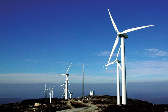 Ngoài DA điện gió 4,8 tỷ USD của Sài Gòn - Nhơn Hội và STS Development, một tổ chức Đức cũng muốn làm dự án điện gió ngoài khơi 4,6 tỷ USD ở Bình Định