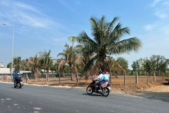 Một phân khúc BĐS tại Đà Nẵng đạt mức giá sơ cấp gần 130 triệu đồng/m2, xuất hiện nhà đầu tư “cá mập” vào gom hàng trước Tết 