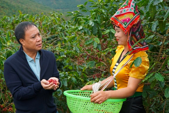 CEO Phúc Sinh nói về ác mộng cà phê 2023: Lần đầu tiên cà phê giá rẻ từ Việt Nam không còn vô tận, traders và môi giới kiệt sức, loạt kho phá sản